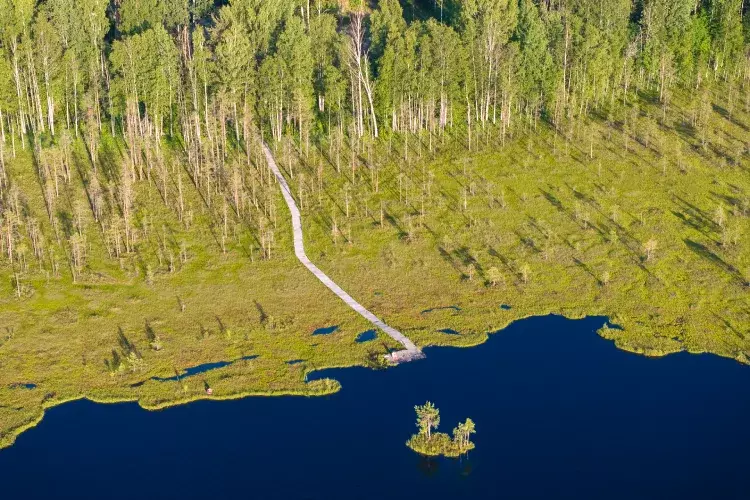Dji 20240626202113 0437 d%281%29